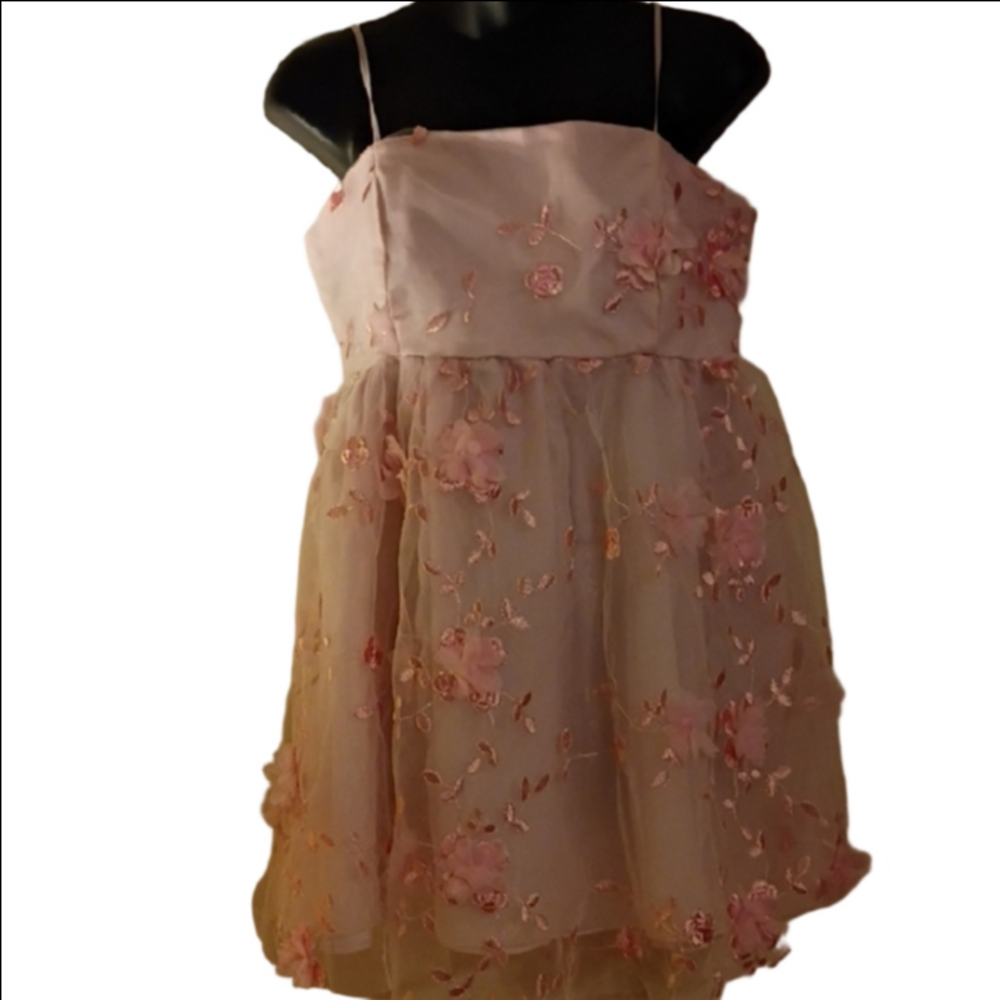 Pink Floral Fairy Core Lace / Embroidered Overlay Short Dress. Size Large.